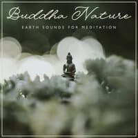 Buddha Nature: Earth Sounds for Meditation