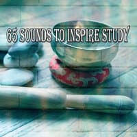 65 Sounds to Inspire Study