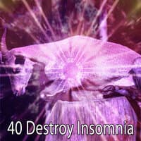 40 Destroy Insomnia