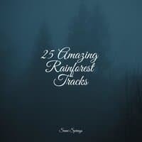 25 Amazing Rainforest Tracks