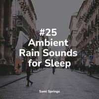 #25 Ambient Rain Sounds for Sleep