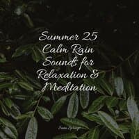 Summer 25 Calm Rain Sounds for Relaxation & Meditation