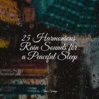 25 Harmonious Rain Sounds for a Peaceful Sleep