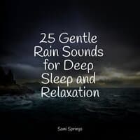 25 Gentle Rain Sounds for Deep Sleep and Relaxation