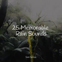 25 Memorable Rain Sounds