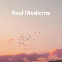 Soul Medicine