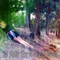 27 Rain for a Night Rest