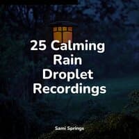 25 Calming Rain Droplet Recordings