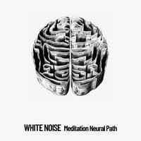 White Noise: Meditation Neural Path