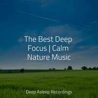 The Best Deep Focus | Calm Nature Music