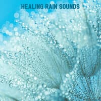 Healing Rain Sounds