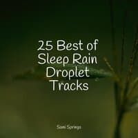 25 Best of Sleep Rain Droplet Tracks