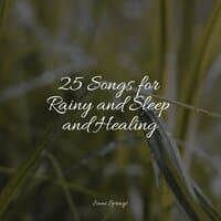 25 Songs for Rainy and Sleep and Healing