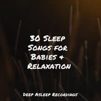 30 Sleep Songs for Babies & Relaxation