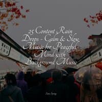 25 Content Rain Drops - Calm & Slow Music for Peaceful Mind with Background Music