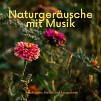 Naturgeräusche mit Musik - Meditieren, Heilen und Entspannen