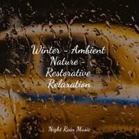 Winter - Ambient Nature - Restorative Relaxation