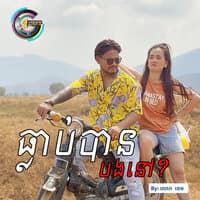 ធ្លាប់បានបងនៅ