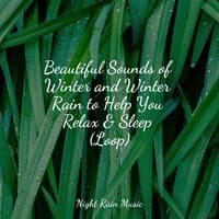 Beautiful Sounds of Winter and Winter Rain to Help You Relax & Sleep (Loop)