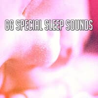 66 Special Sleep Sounds