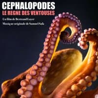 Céphalopode: Le règne des ventouses