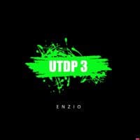 UTDP 3