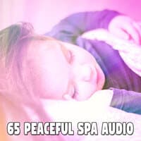 65 Peaceful Spa Audio