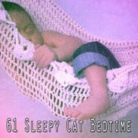 61 Sleepy Cat Bedtime