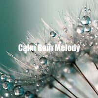 Calm Rain Melody