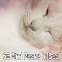 66 Find Peace in Bed