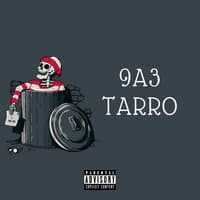 9a3 Taro