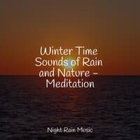 Winter Time Sounds of Rain and Nature - Meditation