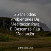 25 Melodías Ambientales De Meditación Para El Descanso Y La Meditación