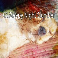 55 Sleepy Night Slumber