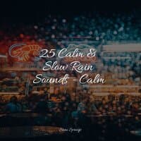 25 Calm & Slow Rain Sounds - Calm