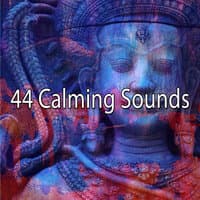 44 Calming Sounds