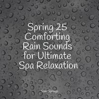 Spring 25 Comforting Rain Sounds for Ultimate Spa Relaxation