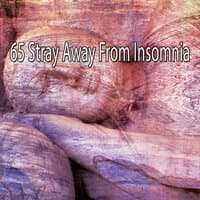 65 Stray Away from Insomnia