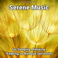 Serene Music for Sleeping, Relaxing, Reading, to Release Serotonin