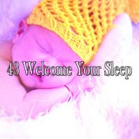 43 Welcome Your Sleep