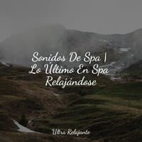 Sonidos De Spa | Lo Último En Spa Relajándose