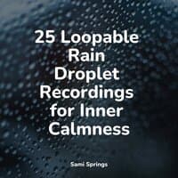 25 Loopable Rain Droplet Recordings for Inner Calmness