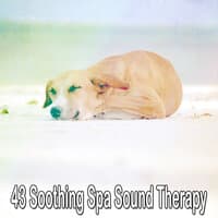 43 Soothing Spa Sound Therapy