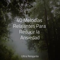 40 Melodías Relajantes Para Reducir la Ansiedad