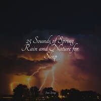 25 Sounds of Spring Rain and Nature for Sleep