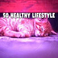 50 Healthy Lifestyle