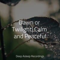 Dawn or Twilight| Calm and Peaceful