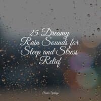 25 Dreamy Rain Sounds for Sleep and Stress Relief