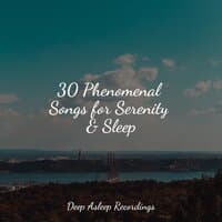 30 Phenomenal Songs for Serenity & Sleep