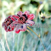 77 Keep Tranquil